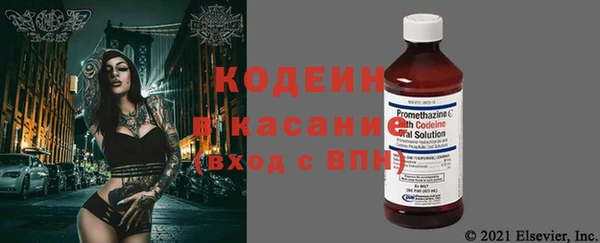хмурый Алексин
