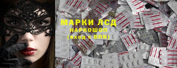 хмурый Алексин