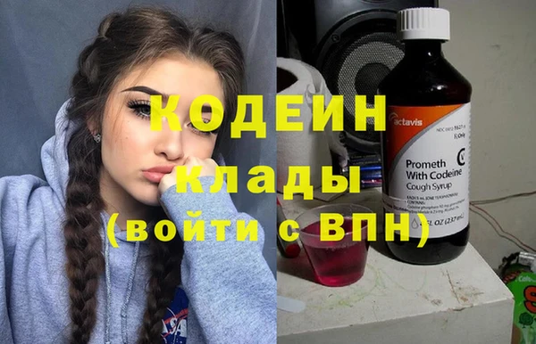 хмурый Алексин