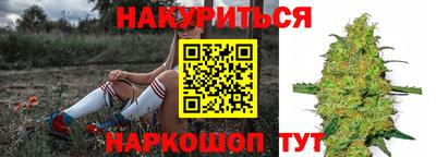 крисы Коммунар