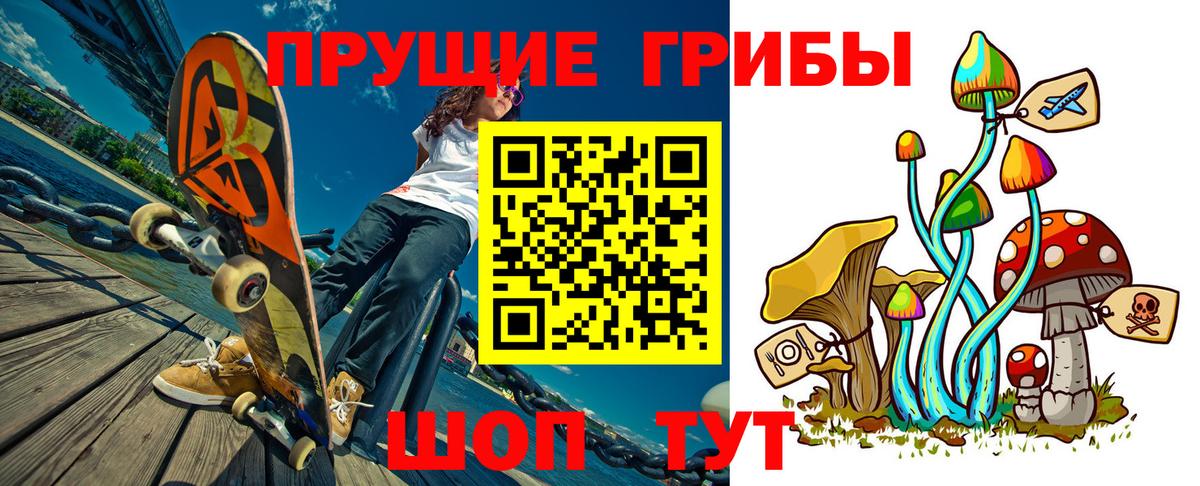 Галлюциногенные грибы Psilocybe Подольск