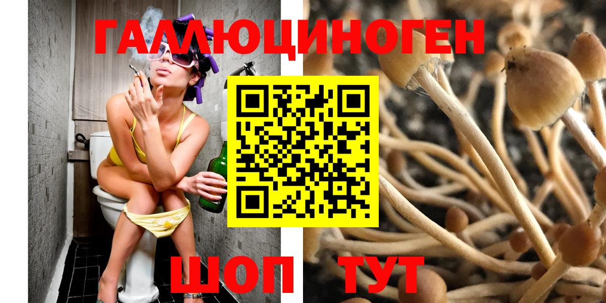 Меф  Гашиш  Подольск  Cocaine  Вход с VPN  Купить наркотики цена  Меф   Марихуана 