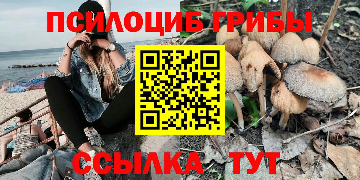 Псилоцибиновые грибы мухоморы  Галлюциногенные грибы прущие грибы  Подольск  даркнет сайт  Вход с VPN 