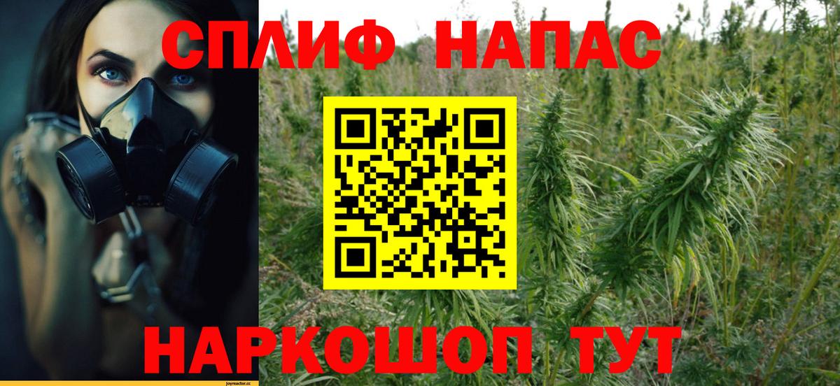 Подольск  Конопля тримм  Вход с VPN  Конопля гибрид  Шишки марихуана MAZAR  Конопля планчик 